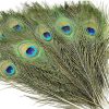 Innovative Handicrafts Iron Solid Urli Set of 3 With 3 diya 10Pcs Real Natural Peacock Peacock Feather Original Feathers 10-12 inch for DIY Craft Floral Arrangements,Wedding,Home and Party Decorations Feathers (Pack of 10 Pcs)